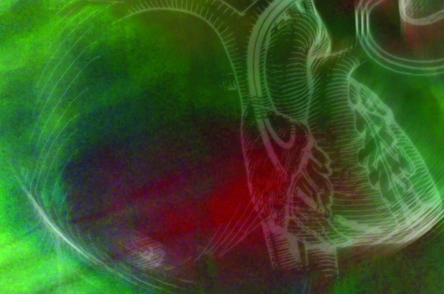 2016 Electrophysiology Board Review DVDs Cardiovascular Medicine CME