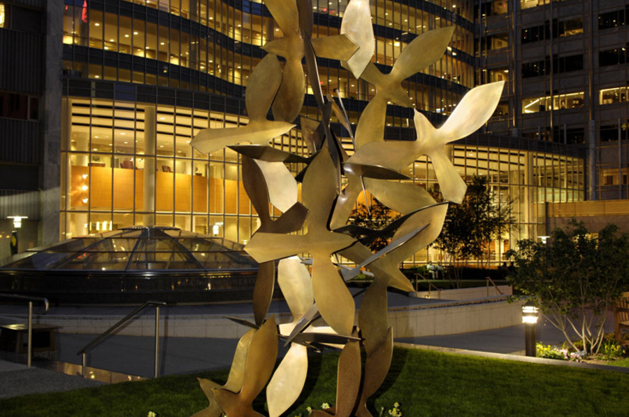 Cardiovascular Medicine CME Cardiology Education Mayo Clinic