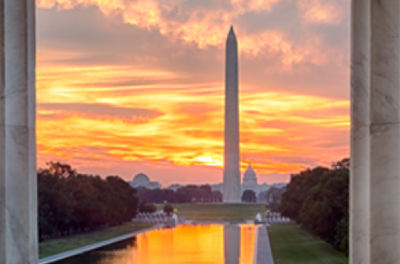 Echo in the Nation's Capital: Practical Review of Adult Echo for Physicians and Sonographers