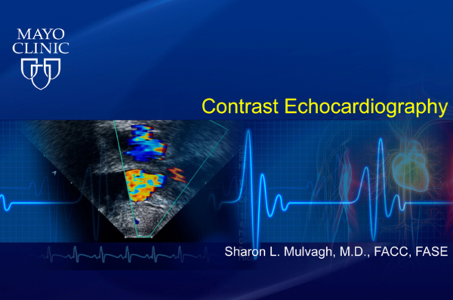 Contrast Echocardiography