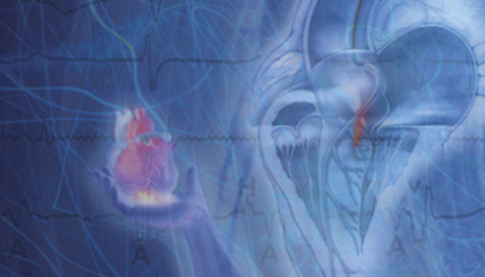 Cardiology Board Review-DVD and Printed Syllabus
