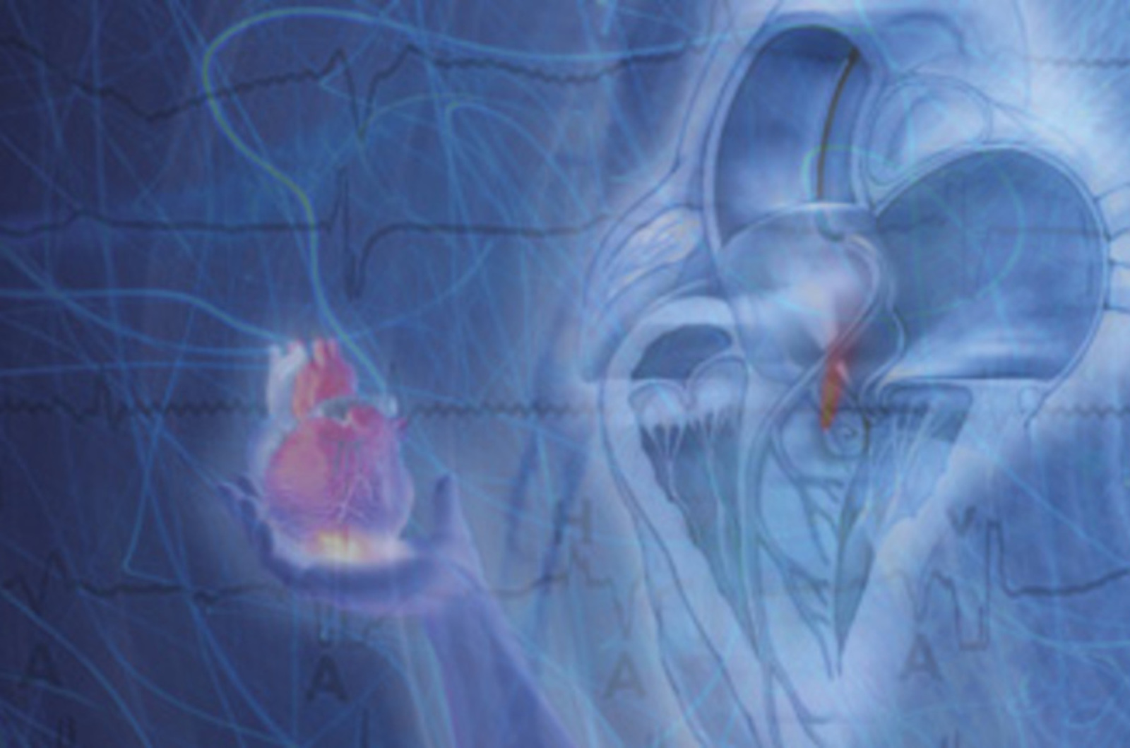 Cardiology Online Board Review