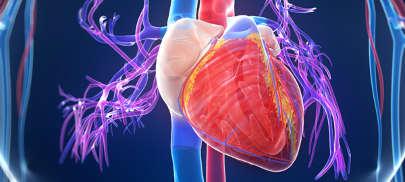 Mayo Clinic Extracorporeal Membrane Oxygenation (ECMO) Symposium