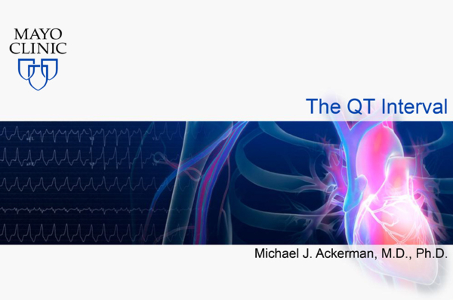 The QT Interval