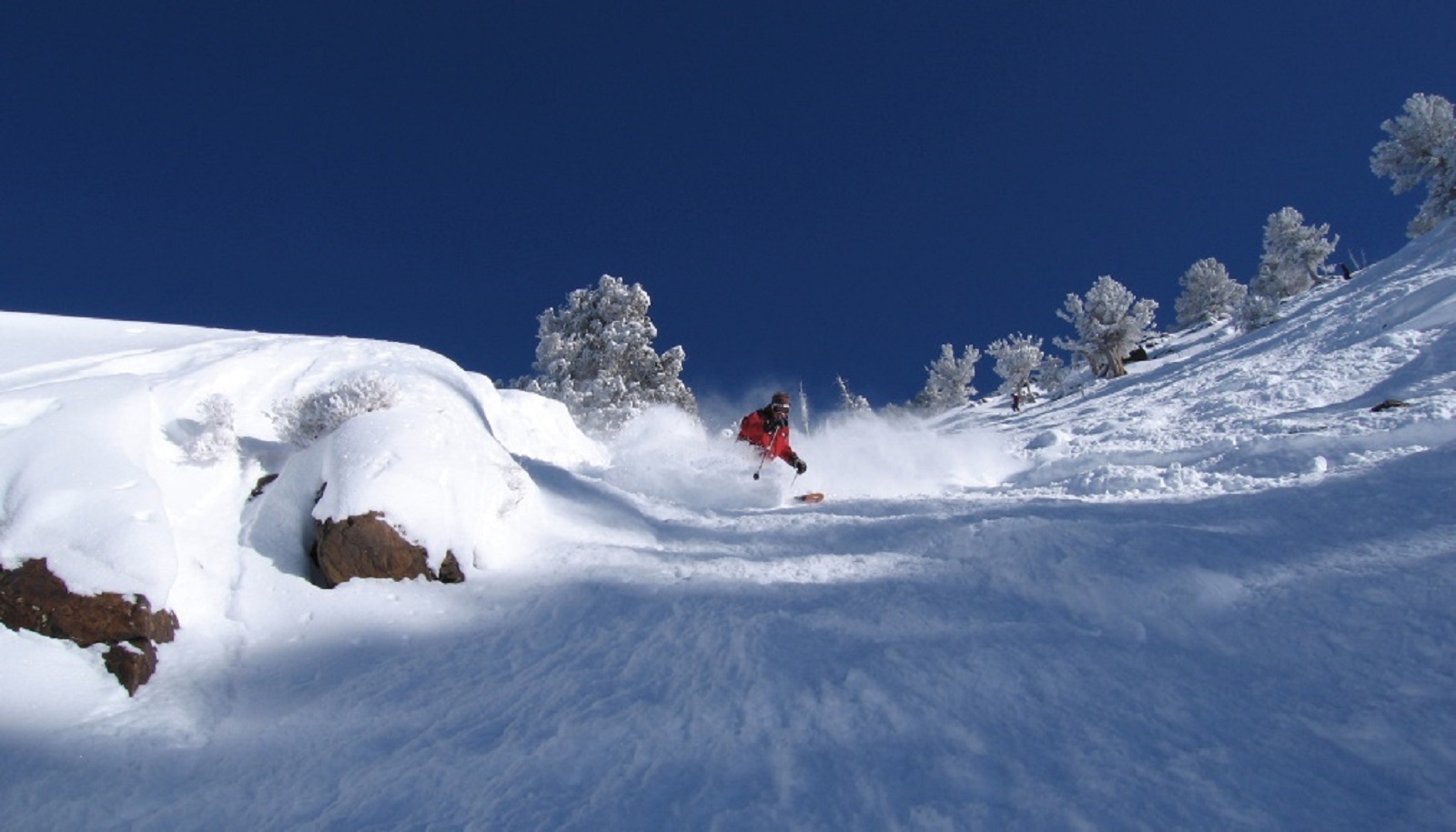Cardiovascular Conference at Snowbird