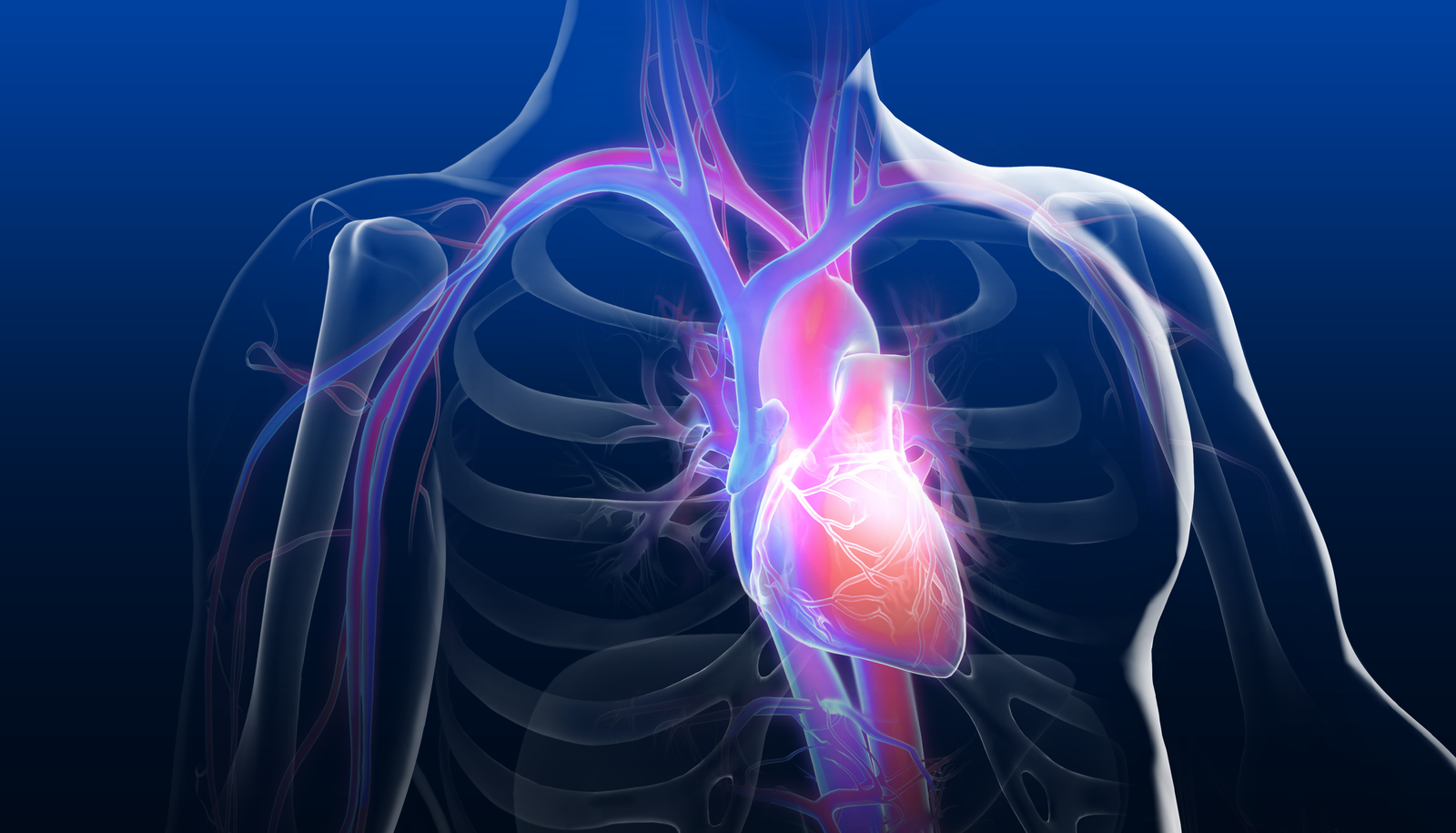 Innovations in Structural Heart Interventions
