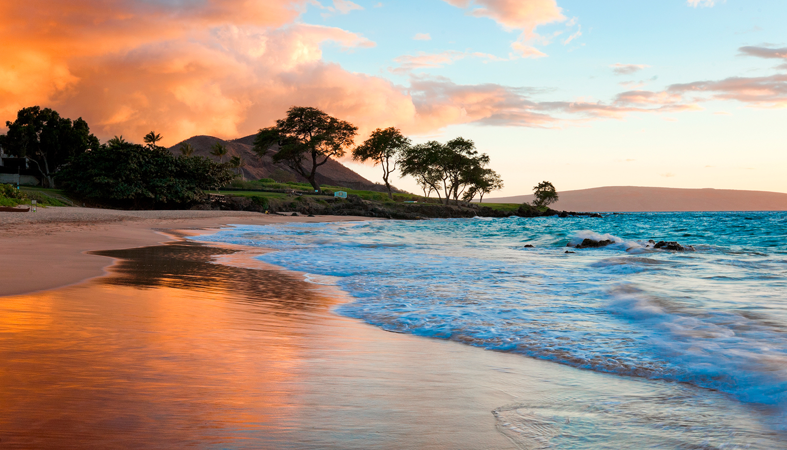 Mayo Clinic Hawaii Echo with Multimodality Imaging