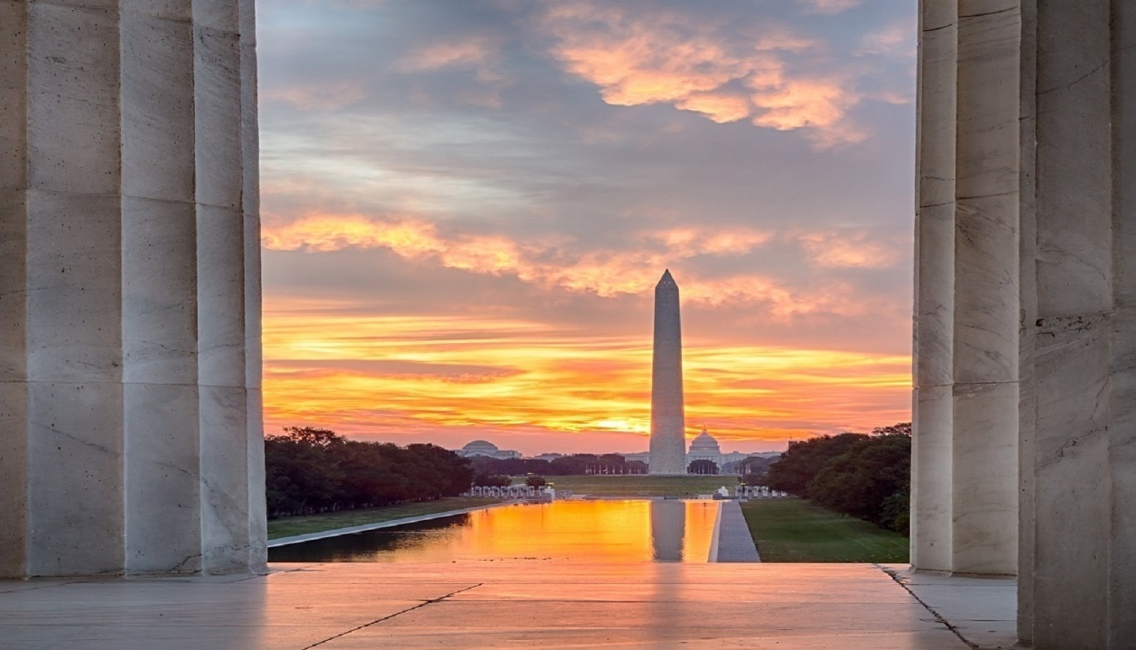 Echo in the Nation's Capital: Practical Review of Adult Echo for Physicians and Sonographers