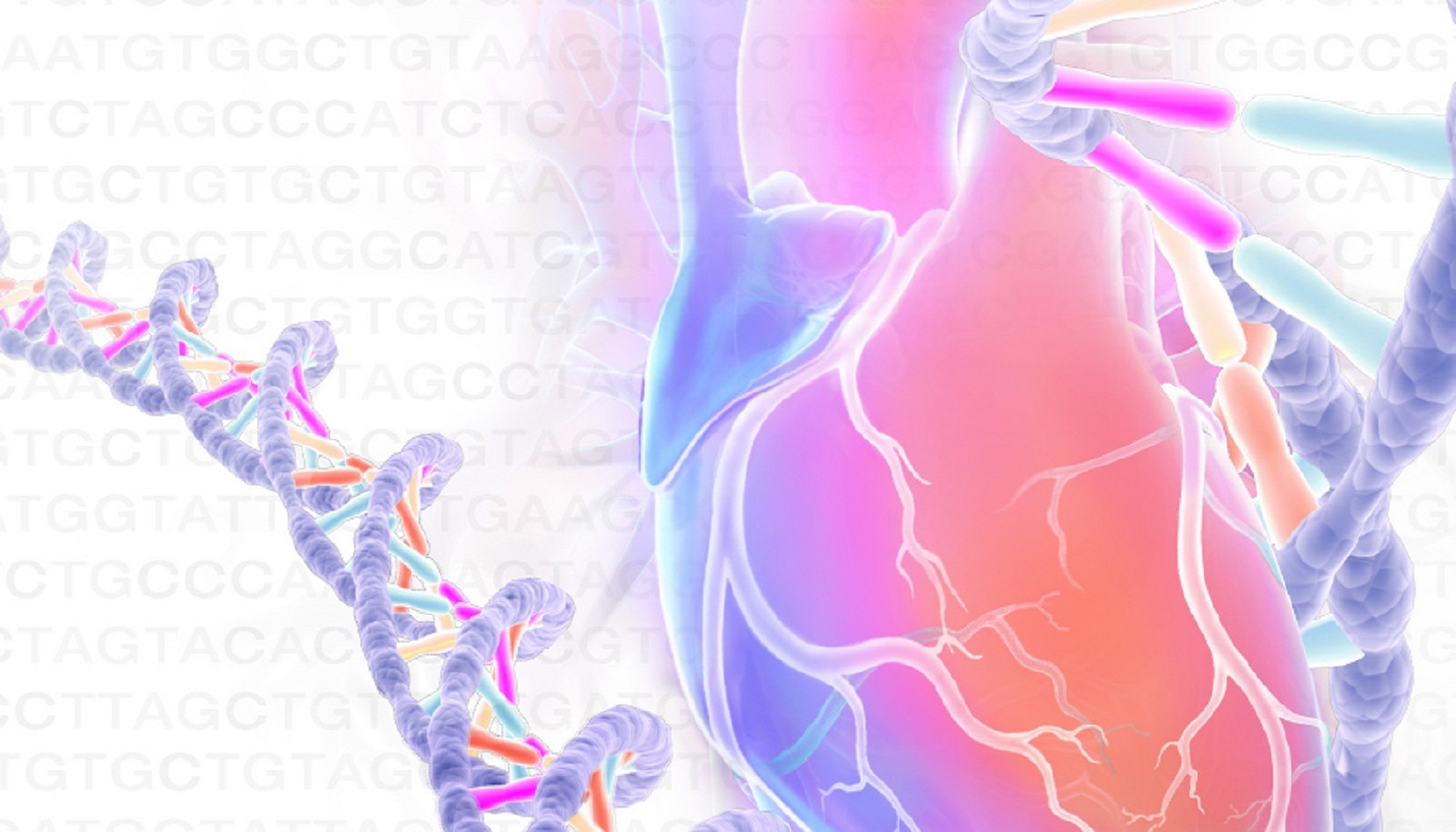 Genetics of Heart & Vascular Disease