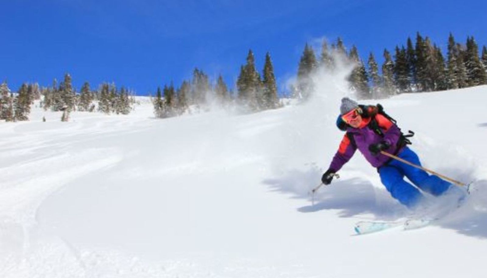 Cardiovascular Conference at Snowbird