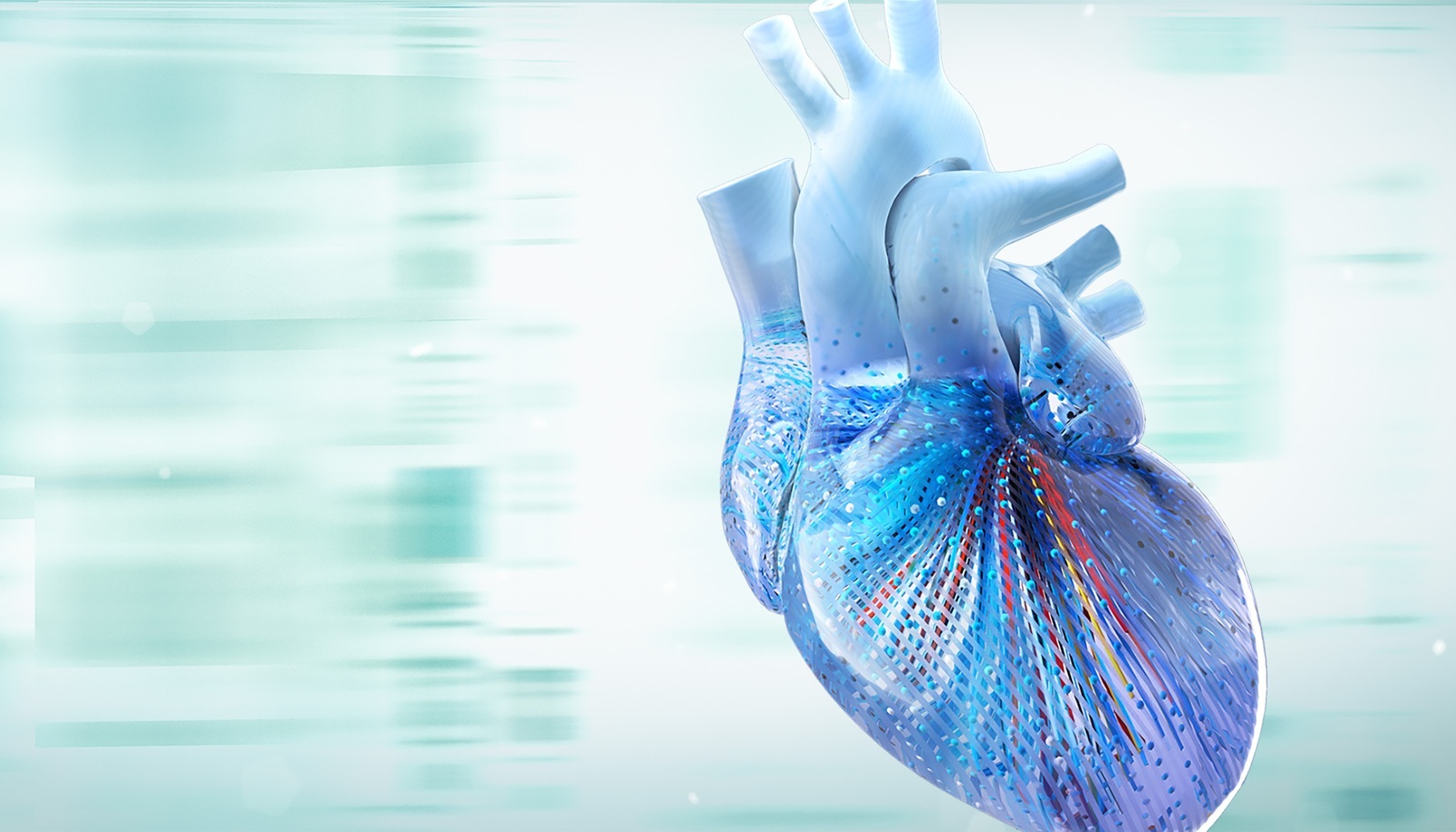 Adult Congenital Heart Disease Board Review