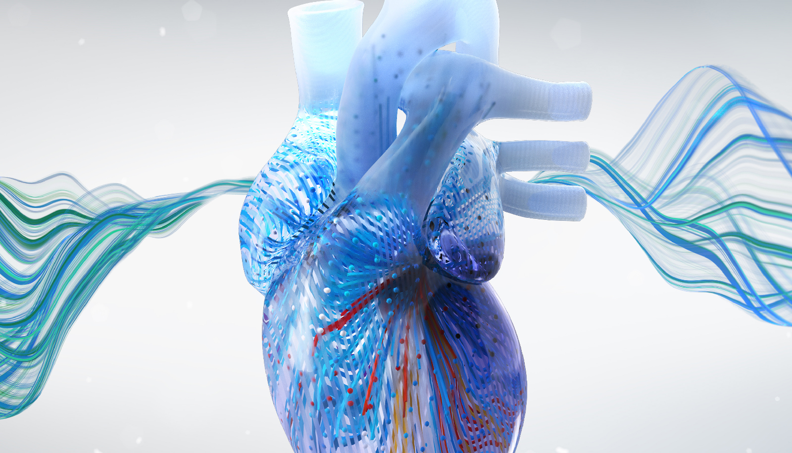 Webinar: Electrophysiology Board Review Insights: Ventricular Arrhythmias Virtual Town Hall