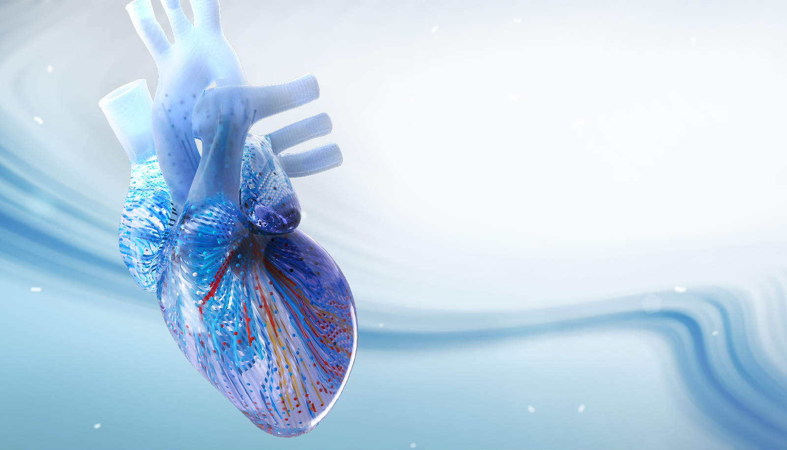 2025 Cardiovascular Online Board Review