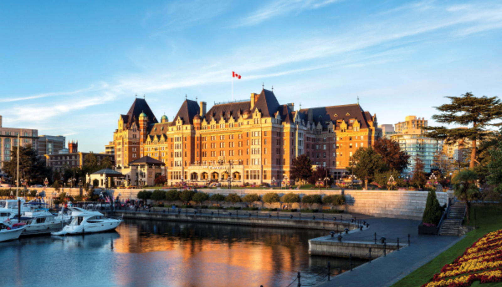 Cardiac Rhythm Device Summit: Implantation, Management, and Follow Up