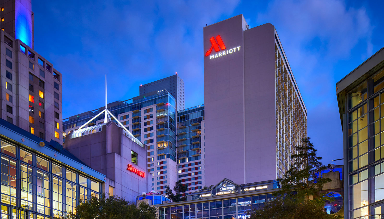 41st Annual Echo in Congenital Heart Disease: Prenatal, Pediatric, and Adult Cases Including Multimodality Imaging