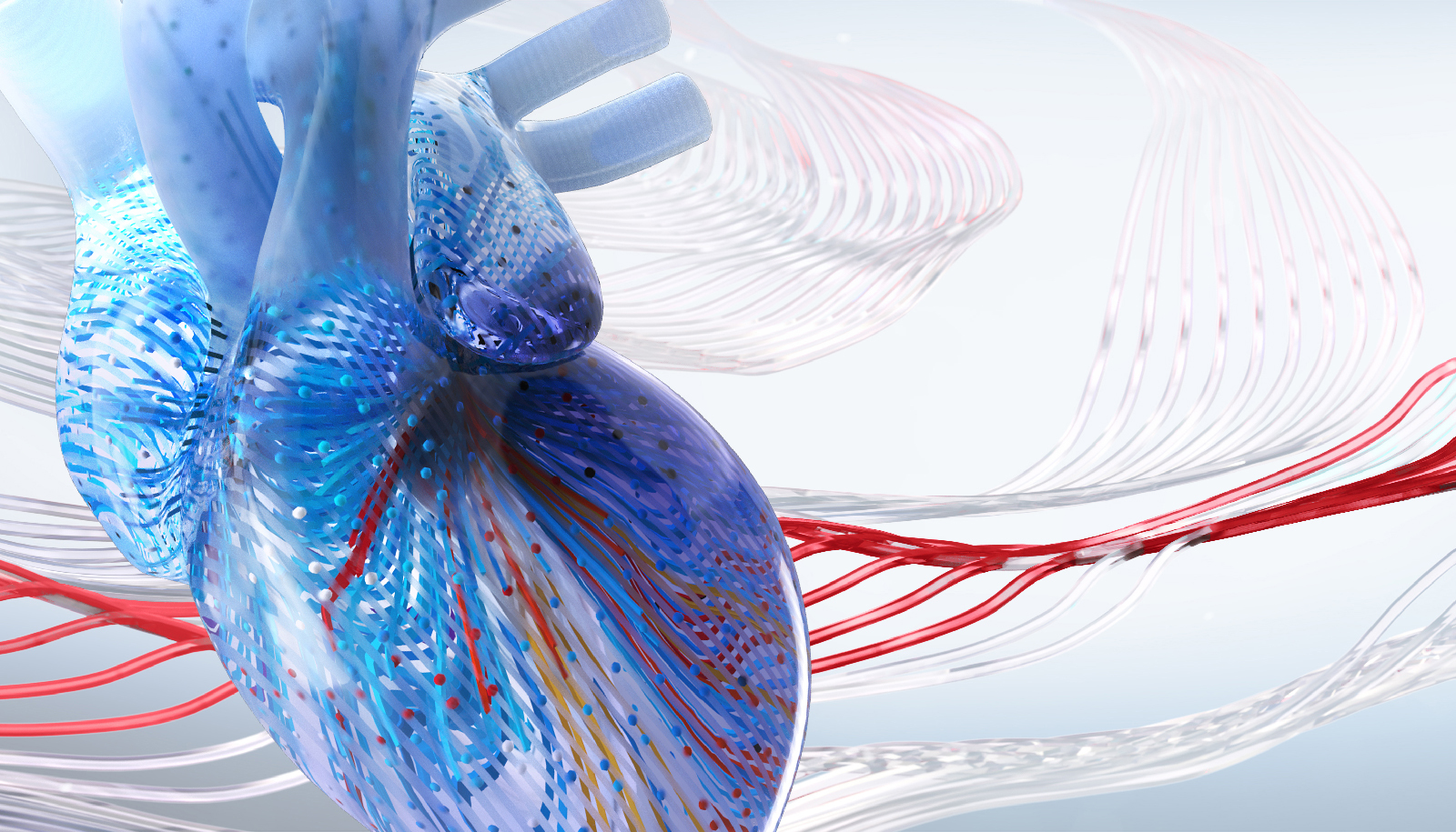 2025 Interventional Cardiology Online Board Review