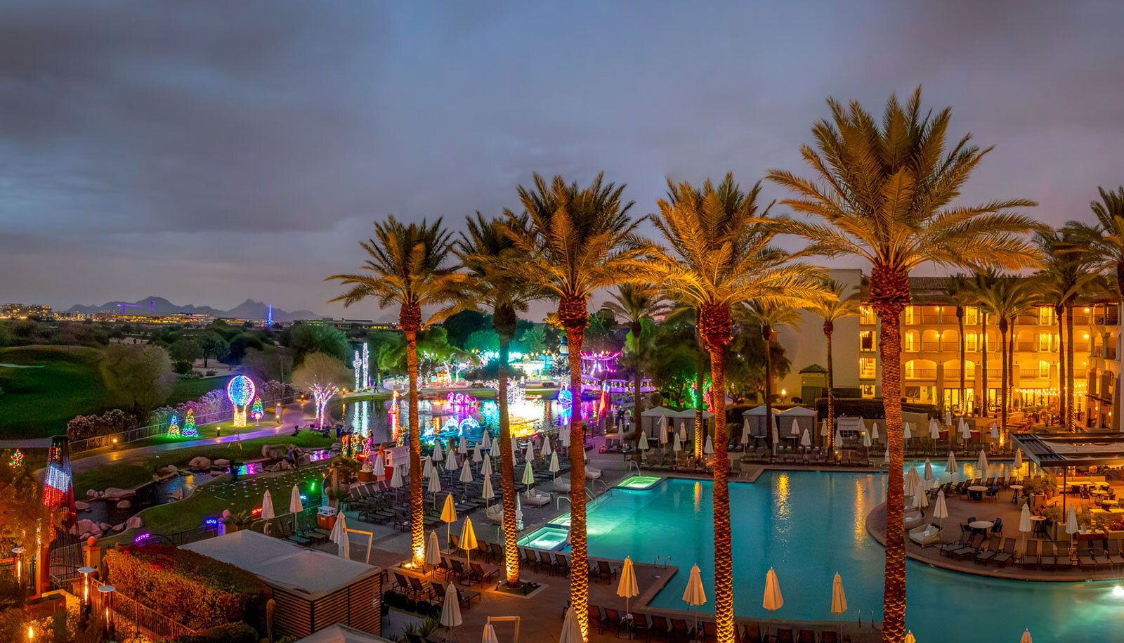 Echocardiography Best Practice: A Case-Based Update