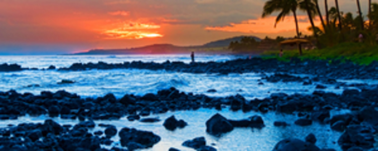 Arrhythmias and the Heart: A Cardiovascular Update