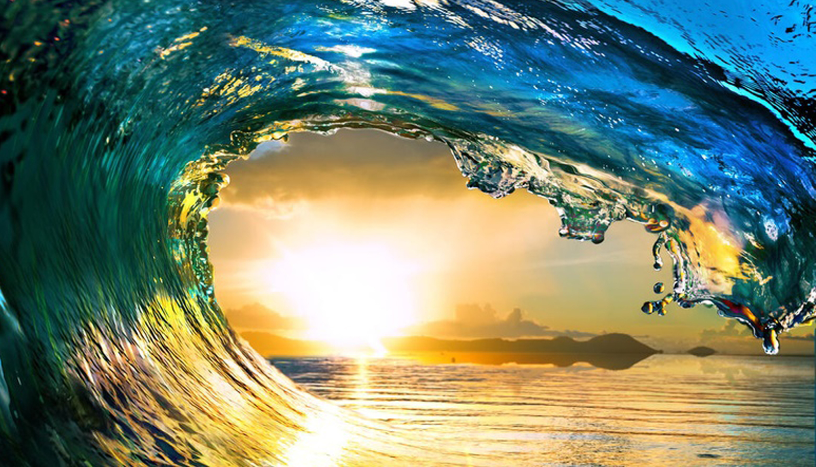 Hawaii Heart - Echocardiography and Multimodality Imaging