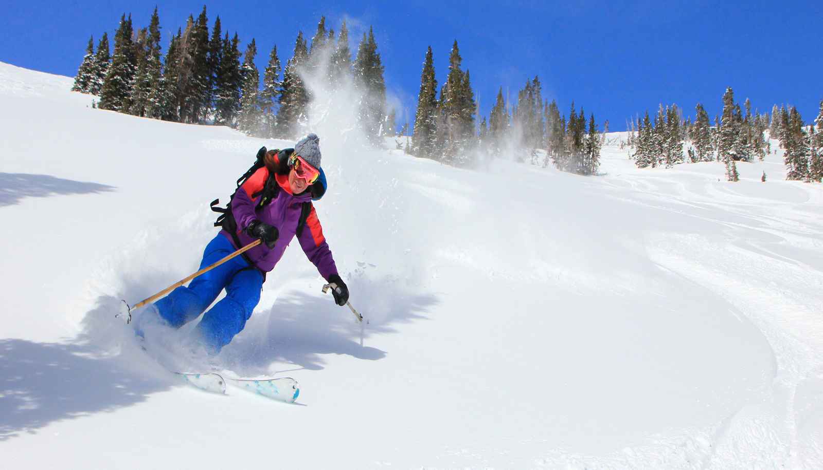 Cardiovascular Conference at Snowbird