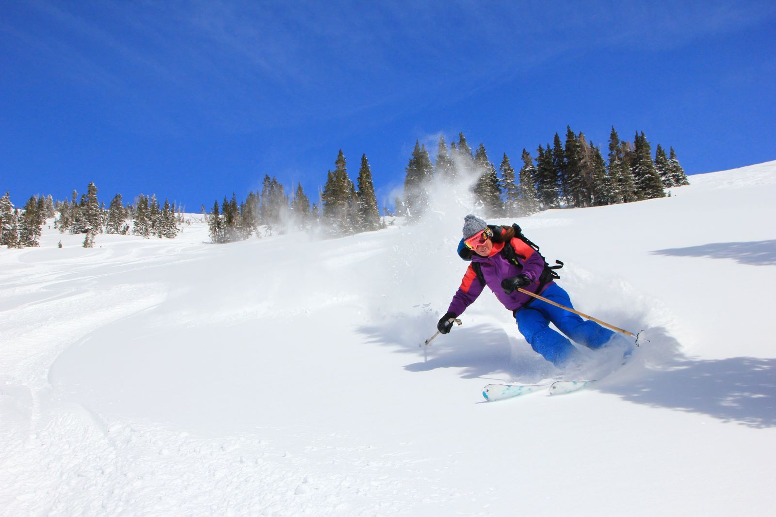 Cardiovascular Conference at Snowbird