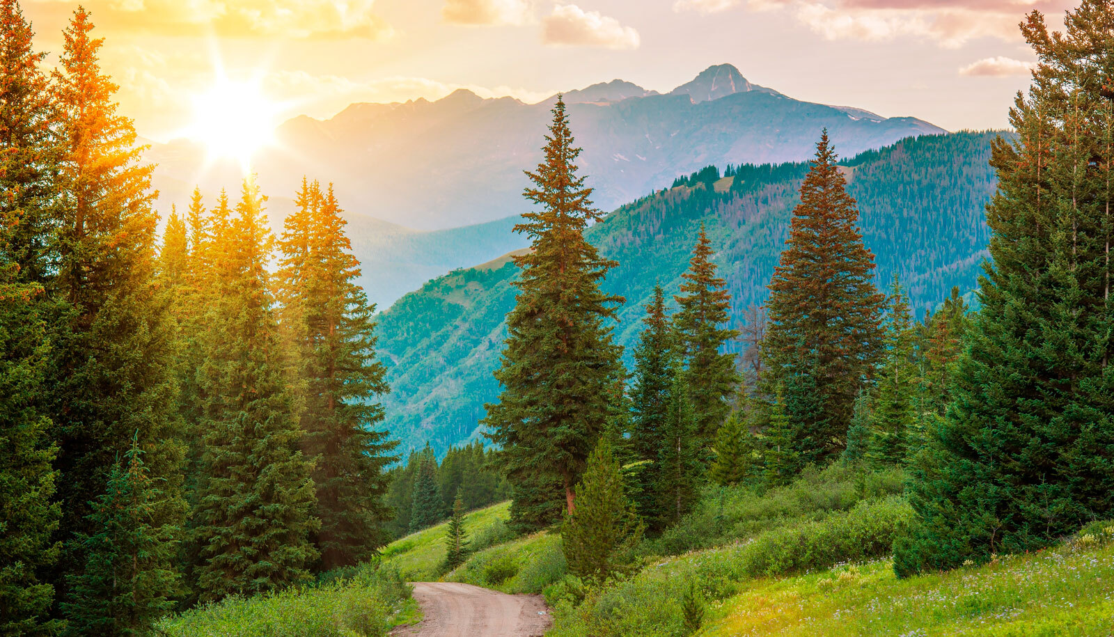 Echo Vail: Frontiers of Multimodality Imaging Including Echo, Cardiac CT and MRI