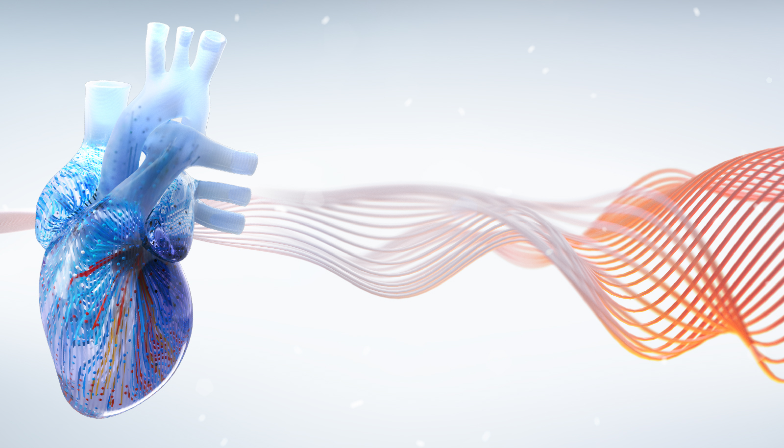 2026 Echocardiography Online Board Review
