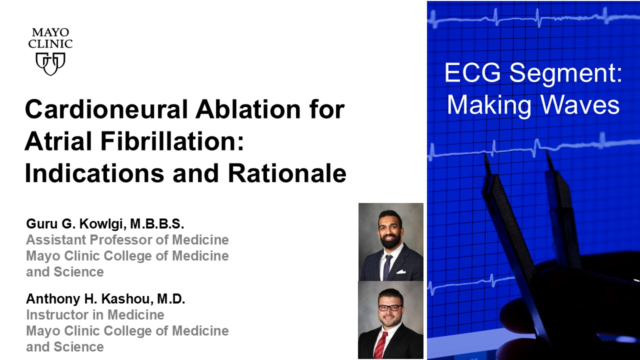 Cardioneural ablation for af