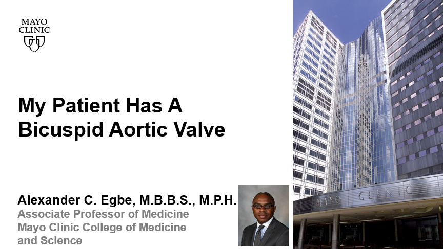 Egbe bicuspid aortic valve