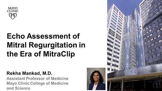 Mankad r echo assessment of mitral regurgitation in the era of mitraclip