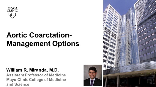 Miranda aortic coarctation management options