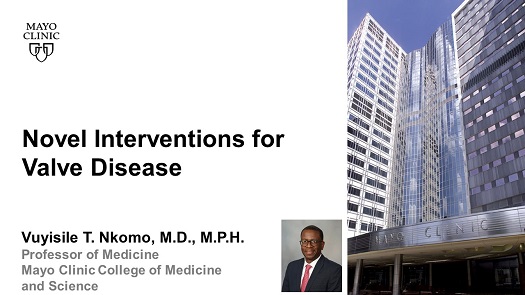 Nkomo novel interventions for valve disease