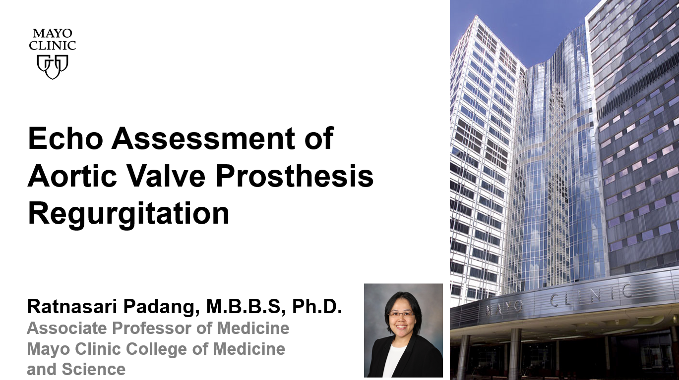 Padang echo assessment of aortic valve prosthesis regurg