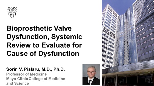 Pislaru bioprosthetic valve dysfunction systemic review to evalute for cause of dysfunction