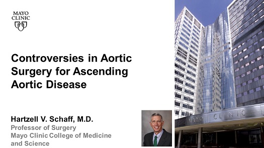 Schaff controversies in aortic surgery for ascending aortic disease