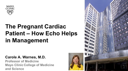 Warnes the pregnant cardiac patient how echo helps in management